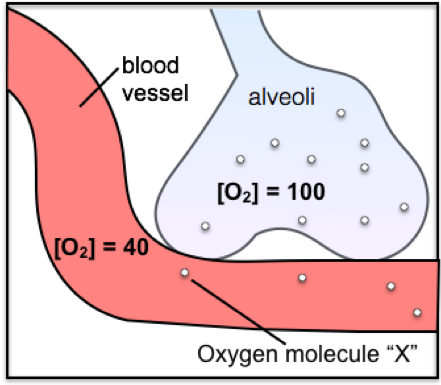 Animole image